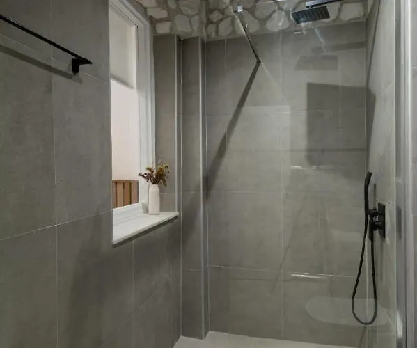 Oikia Mykonos 公寓 *